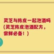 灵芝与陈皮一起泡酒吗(灵芝陈皮泡酒配方，尝鲜必备！)