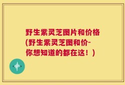 野生紫灵芝图片和价格(野生紫灵芝图和价-你想知道的都在这！)