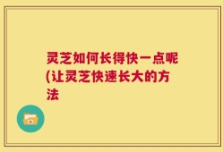 灵芝如何长得快一点呢(让灵芝快速长大的方法