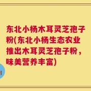 东北小杨木耳灵芝孢子粉(东北小杨生态农业推出木耳灵芝孢子粉，味美营养丰富)