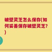 破壁灵芝怎么保存(如何妥善保存破壁灵芝？)