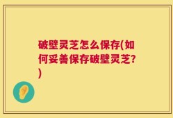 破壁灵芝怎么保存(如何妥善保存破壁灵芝？)