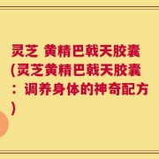 灵芝 黄精巴戟天胶囊(灵芝黄精巴戟天胶囊：调养身体的神奇配方)