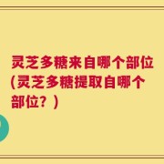 灵芝多糖来自哪个部位(灵芝多糖提取自哪个部位？)