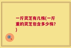 一斤灵芝有几株(一斤重的灵芝包含多少株？)