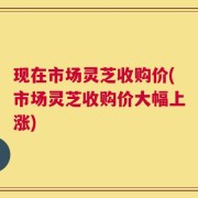 现在市场灵芝收购价(市场灵芝收购价大幅上涨)