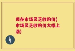 现在市场灵芝收购价(市场灵芝收购价大幅上涨)
