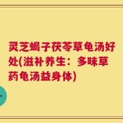 灵芝蝎子茯苓草龟汤好处(滋补养生：多味草药龟汤益身体)