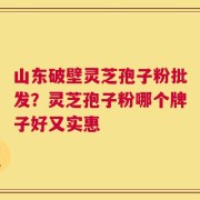 山东破壁灵芝孢子粉批发？灵芝孢子粉哪个牌子好又实惠