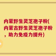 内蒙野生灵芝孢子粉(内蒙古野生灵芝孢子粉，助力免疫力提升)