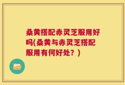 桑黄搭配赤灵芝服用好吗(桑黄与赤灵芝搭配服用有何好处？)