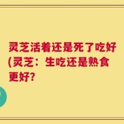 灵芝活着还是死了吃好(灵芝：生吃还是熟食更好？