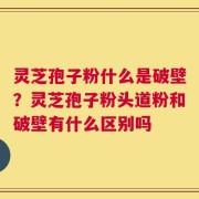 灵芝孢子粉什么是破壁？灵芝孢子粉头道粉和破壁有什么区别吗