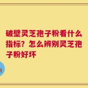 破壁灵芝孢子粉看什么指标？怎么辨别灵芝孢子粉好坏
