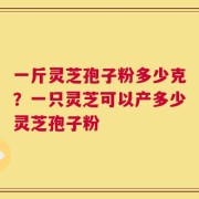 一斤灵芝孢子粉多少克？一只灵芝可以产多少灵芝孢子粉