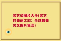 灵芝烫图片大全(灵芝的美丽之旅：全球最美灵芝图片集合)