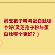 灵芝孢子粉与蛋白肽哪个好(灵芝孢子粉与蛋白肽哪个更好？)