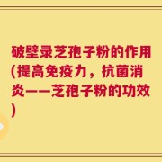 破壁录芝孢子粉的作用(提高免疫力，抗菌消炎——芝孢子粉的功效)
