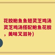 花胶鲍鱼鱼翅灵芝鸡汤灵芝鸡汤搭配鲍鱼花胶，美味又滋补)