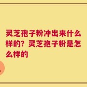 灵芝孢子粉冲出来什么样的？灵芝孢子粉是怎么样的