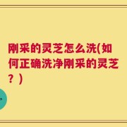 刚采的灵芝怎么洗(如何正确洗净刚采的灵芝？)