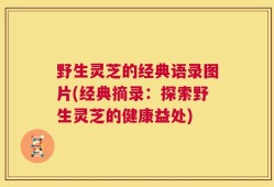 野生灵芝的经典语录图片(经典摘录：探索野生灵芝的健康益处)