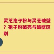 灵芝孢子粉与灵芝破壁？孢子粉破壳与破壁区别
