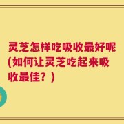 灵芝怎样吃吸收最好呢(如何让灵芝吃起来吸收最佳？)