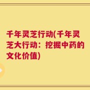 千年灵芝行动(千年灵芝大行动：挖掘中药的文化价值)