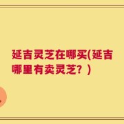 延吉灵芝在哪买(延吉哪里有卖灵芝？)