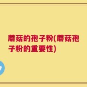 蘑菇的孢子粉(蘑菇孢子粉的重要性)