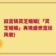 旧宫镇灵芝姐姐(「灵芝姐姐」再现盛世宫廷风貌)
