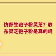仿野生孢子粉灵芝？敖东灵芝孢子粉是真的吗