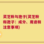 灵芝粉与孢子(灵芝粉和孢子：成分、用途和注意事项)