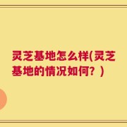 灵芝基地怎么样(灵芝基地的情况如何？)