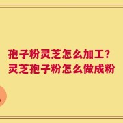 孢子粉灵芝怎么加工？灵芝孢子粉怎么做成粉