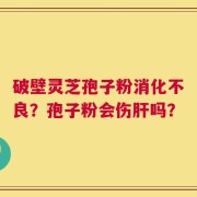 破壁灵芝孢子粉消化不良？孢子粉会伤肝吗？