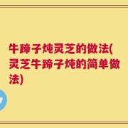 牛蹄子炖灵芝的做法(灵芝牛蹄子炖的简单做法)