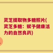 灵芝提取物多糖照片(灵芝多糖：赋予健康活力的自然良药)