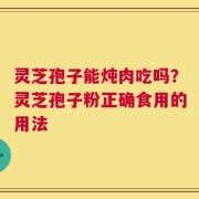 灵芝孢子能炖肉吃吗？灵芝孢子粉正确食用的用法
