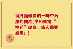 消肿瘤最快的一味中药屎的图片(中药臭瘤“神药”现身，病人爆哭感恩！)