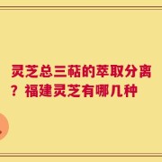 灵芝总三萜的萃取分离？福建灵芝有哪几种