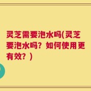 灵芝需要泡水吗(灵芝要泡水吗？如何使用更有效？)