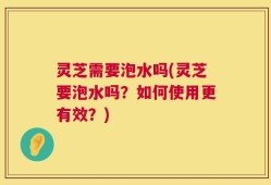 灵芝需要泡水吗(灵芝要泡水吗？如何使用更有效？)
