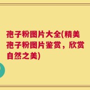 孢子粉图片大全(精美孢子粉图片鉴赏，欣赏自然之美)