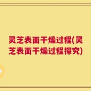 灵芝表面干燥过程(灵芝表面干燥过程探究)