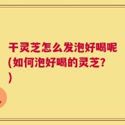 干灵芝怎么发泡好喝呢(如何泡好喝的灵芝？)