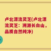 卢北漂流灵芝(卢北漂流灵芝：溯源长白山，品质自然纯净)