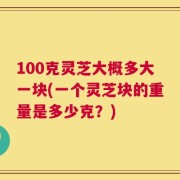 100克灵芝大概多大一块(一个灵芝块的重量是多少克？)