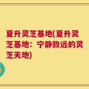 夏升灵芝基地(夏升灵芝基地：宁静致远的灵芝天地)